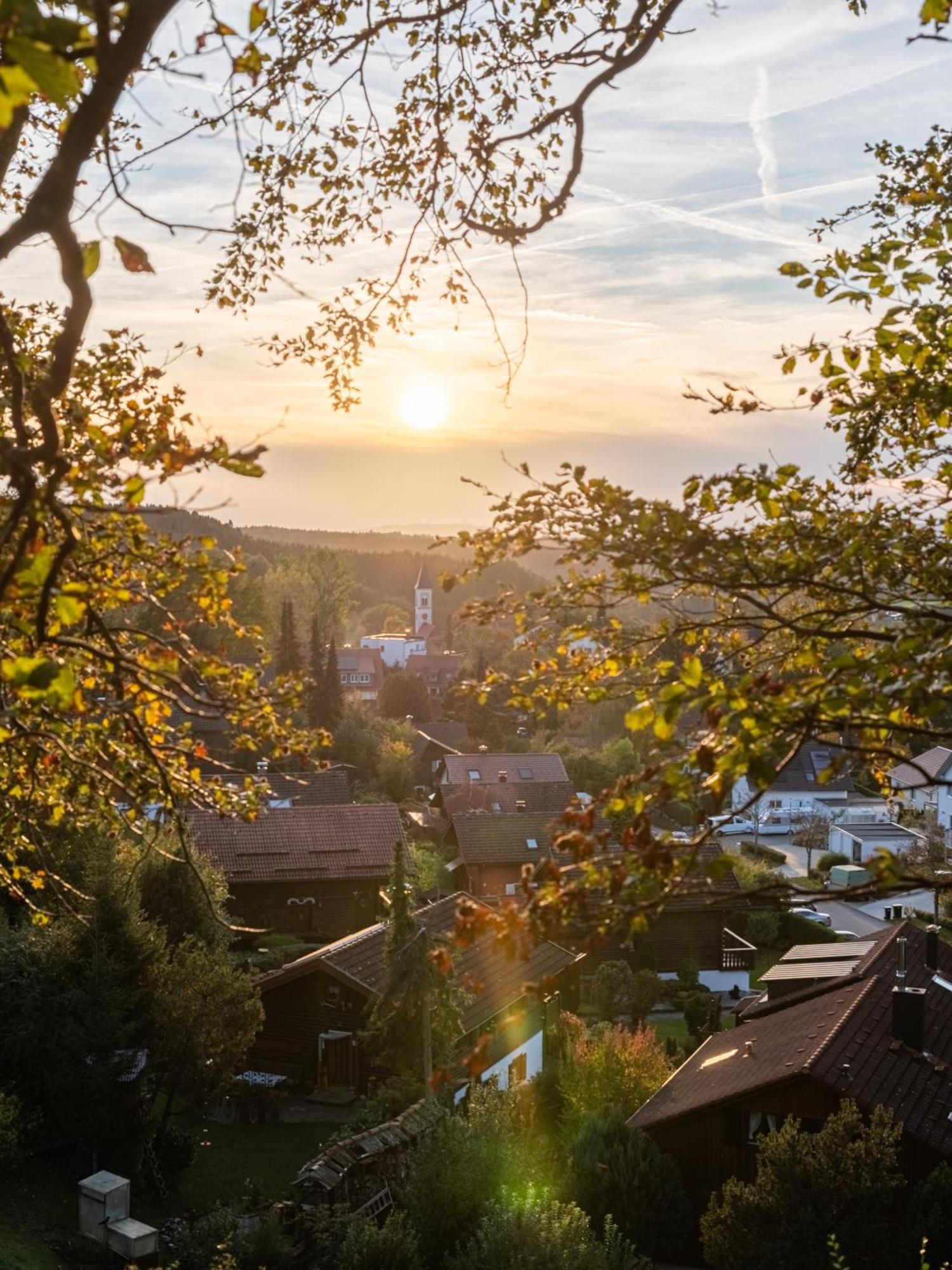 Ferienwohnung S'Kammerl Wolfegg Buitenkant foto
